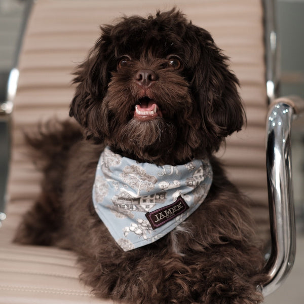 PATTERN TOILE DE JOUY DOG SCARF