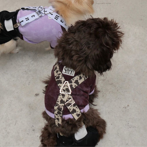 26SS DOG SUSPENDER