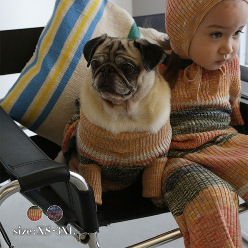 MIXED BORDER KNIT DOG WEAR