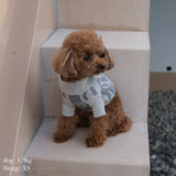 PATTERN JAGGARD DOG WEAR 7