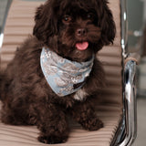 PATTERN TOILE DE JOUY DOG SCARF 3