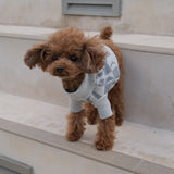 PATTERN JAGGARD DOG WEAR 20