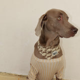 PATTERN DOG SCARF8