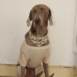 PATTERN DOG SCARF9