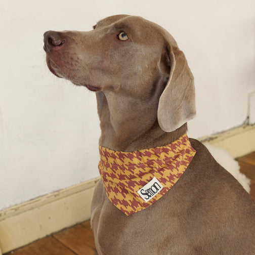 【5/15(Fri)12:00-restock】PATTERN DOG SCARF