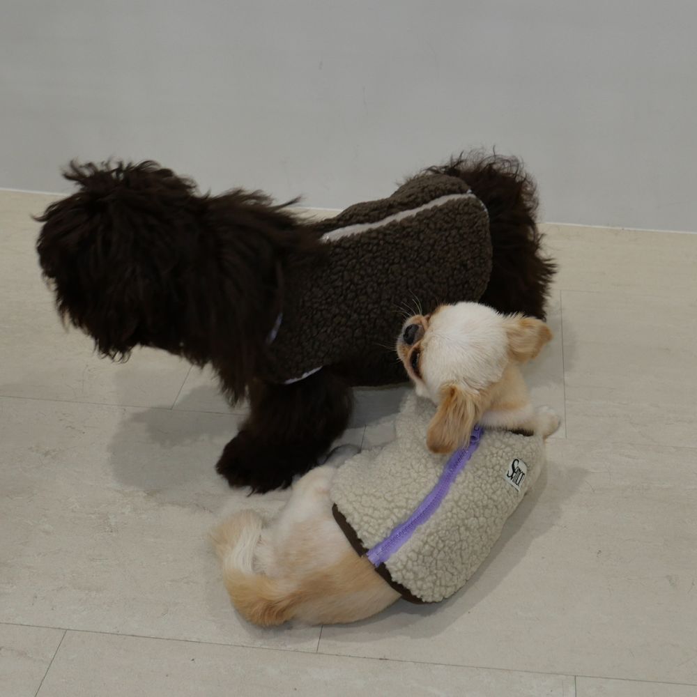 ボアドッグベスト | DOG BOA VEST | Frö