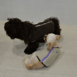 DOG BOA VEST5