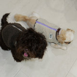 DOG BOA VEST8