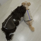 DOG BOA VEST9