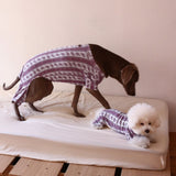 PATTERN DOG ROMPERS 8
