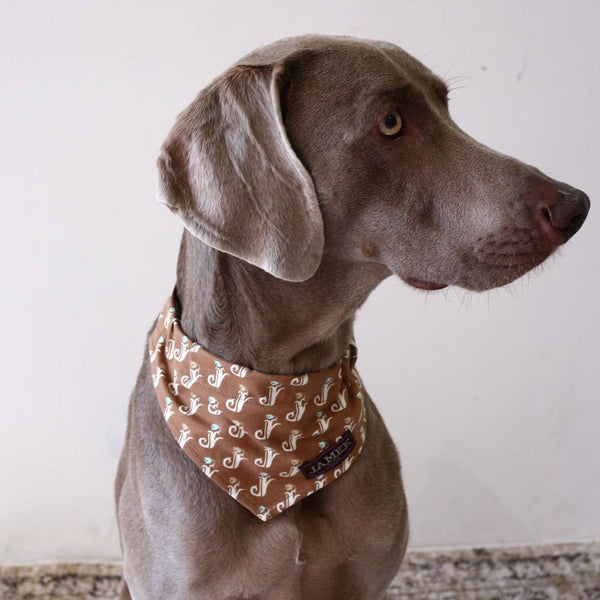PATTERN DOG SCARF