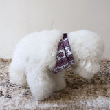 PATTERN DOG SCARF 10
