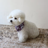 PATTERN DOG SCARF 11