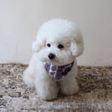 PATTERN DOG SCARF 12