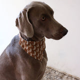 PATTERN DOG SCARF 5