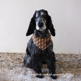 PATTERN DOG SCARF 6