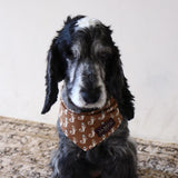 PATTERN DOG SCARF 7