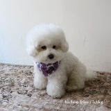 PATTERN DOG SCARF 8