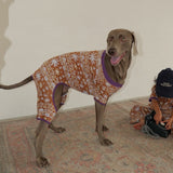26SS NEW PATTERN DOG ROMPERS1