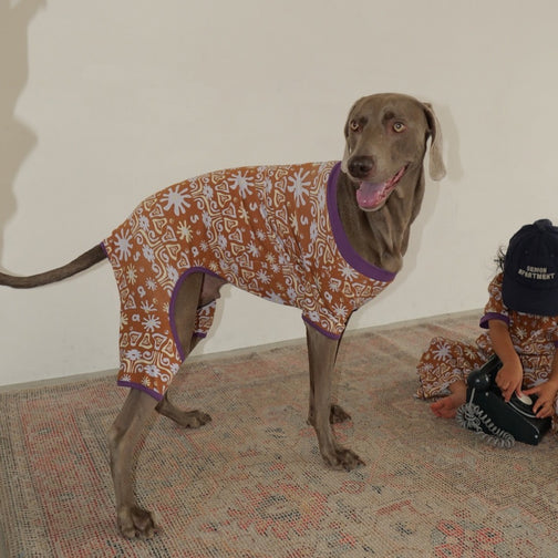 26SS NEW PATTERN DOG ROMPERS