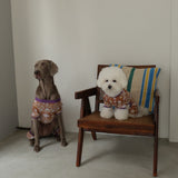 26SS NEW PATTERN DOG ROMPERS5