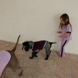 TIEDYE DOG WEAR 16