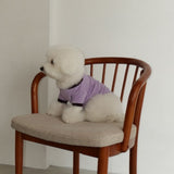TIEDYE DOG WEAR 5