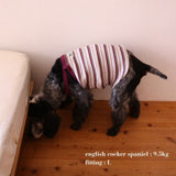 RIBBED BORDER DOG CAMISOLE 3