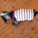 RIBBED BORDER DOG CAMISOLE 4
