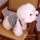 RIBBED BORDER DOG CAMISOLE 8