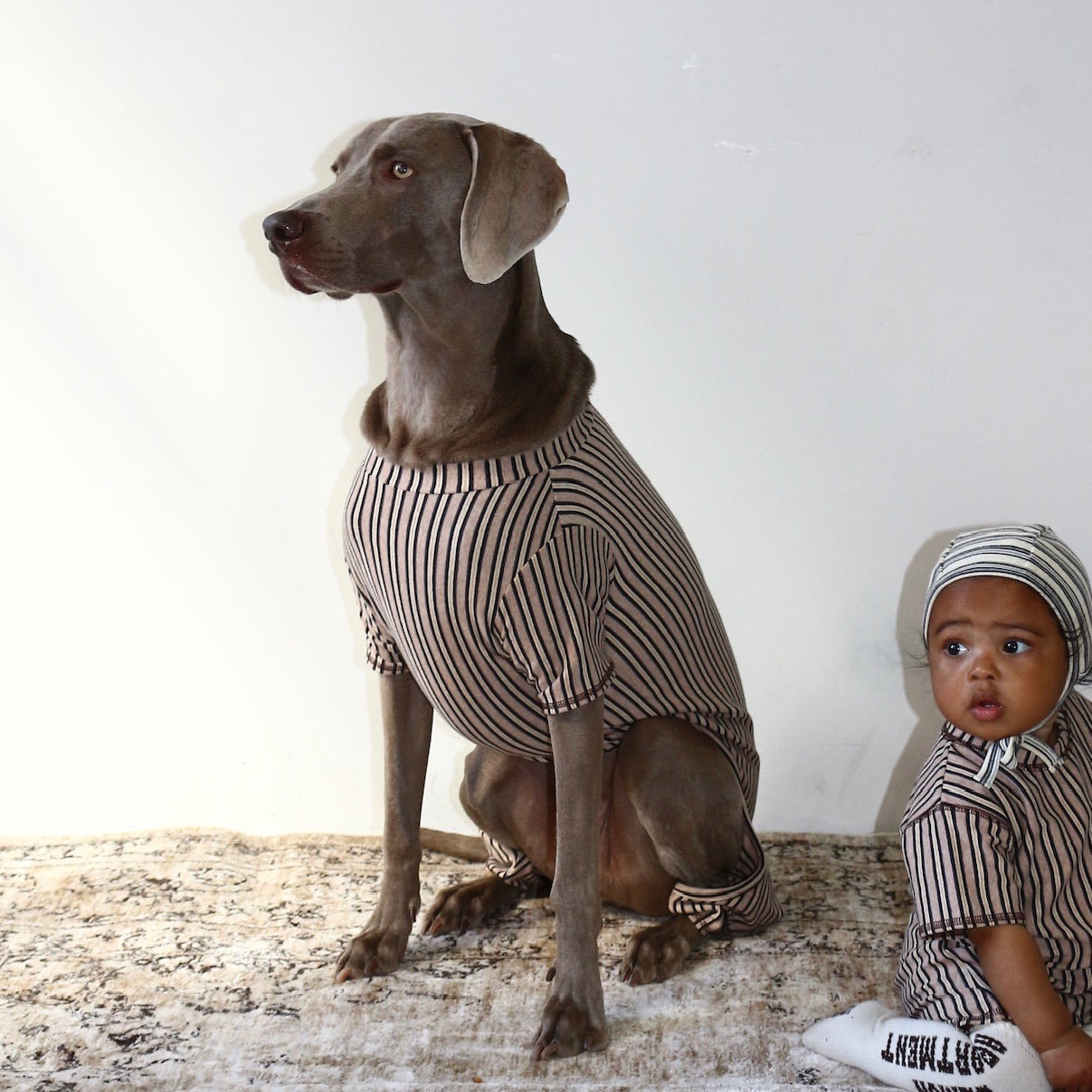 □DOG WEAR – Frö