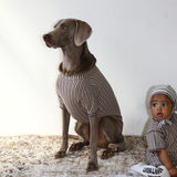 STRIPE DOG ROMPER1