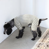 STRIPE DOG ROMPER13