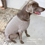 STRIPE DOG ROMPER14
