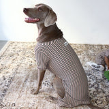 STRIPE DOG ROMPER16