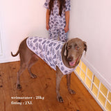 26SS NEW WAFFLE DOG TOPS 4