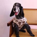 26SS NEW WAFFLE DOG TOPS 8