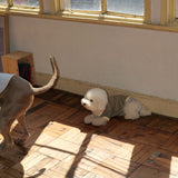 26SS PILE DOG TOPS5
