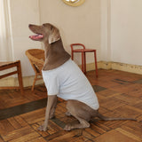 26SS PILE DOG TOPS9