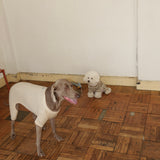 PATTERN DOG ROMPERS 10