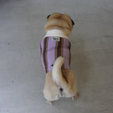 RUGGER DOG WEAR15