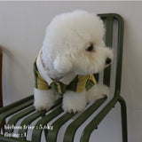 RUGGER DOG WEAR4