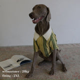 RUGGER DOG WEAR7