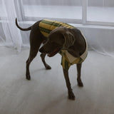 RUGGER DOG WEAR8