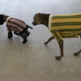 RUGGER DOG WEAR9