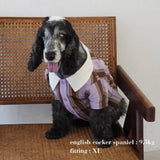RUGGER DOG WEAR10