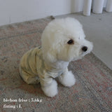 DOG TIEDYE ROMPERS7