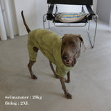 DOG TIEDYE ROMPERS12