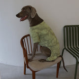 DOG TIEDYE ROMPERS13