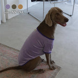 VELOUR DOG WEAR1
